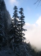 11.27.05 Nesmith Point 058 